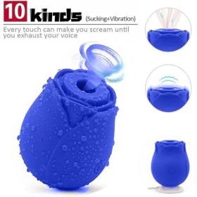 Rose Sucking Vibration Clit Sucker Dildo Women G-Spot Massager SexToy For Women USB Magnetic Charging Must Offer A Hazardous Materials Shipping Label (Option: Blue)